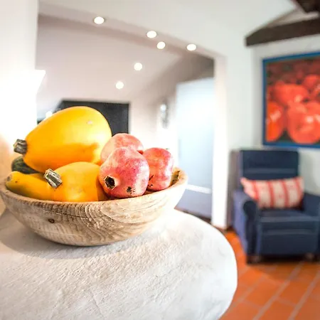 Adlernest By Interhome Apartment Seefeld in Tirol